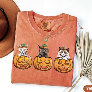 May include: A burnt orange t-shirt with three cats wearing jack-o-lantern hats. The cats are sitting inside the jack-o-lanterns. The t-shirt has the text "COMFORT COLORS" on the top left corner.
