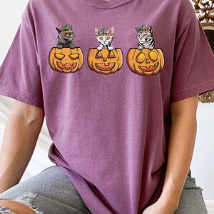 May include: A purple t-shirt with three cats wearing pumpkin hats and sitting inside pumpkins. The pumpkins have jack-o-lantern faces.