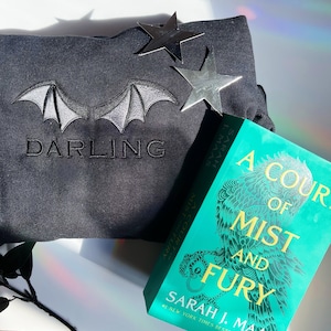 Geborduurde Darling ACOTAR ronde hals - Rhysand-trui - op ACOTAR geïnspireerd shirt - Booktok-shirt - Feyre And Rhysand - leesgrage merchandise