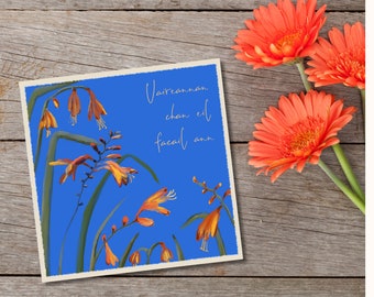 Gaelic Sympathy Card - Uaireannan chan eil facail ann