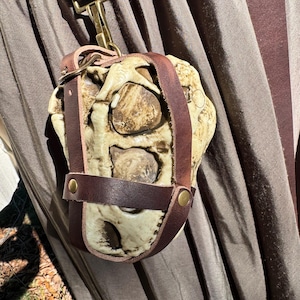 May include: A white skull-shaped pouch with brown leather straps and a brass clasp. The pouch is attached to a brown leather strap.