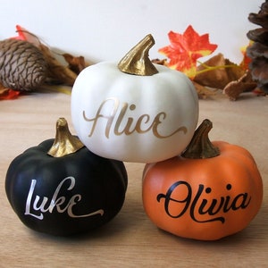 Personalised Little Pumpkins Halloween Decoration Autumn Decor Orange, White, Green, Grey, Black Pumpkins Custom Name Pumpkin image 10