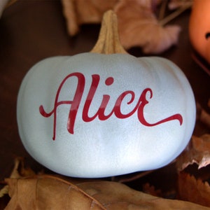 Personalised Little Pumpkins Halloween Decoration Autumn Decor Orange, White, Green, Grey, Black Pumpkins Custom Name Pumpkin image 7