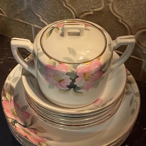 Noritake in Azalea Pattern 1920s