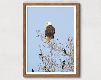 Bald Eagle Digital Print, Printable Rustic Wildlife Photography, Download Bird Wall Art