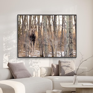 Baby Moose Printable Wall Art, Wildlife Photography Download, Rustic Home Décor, Moose Digital Print