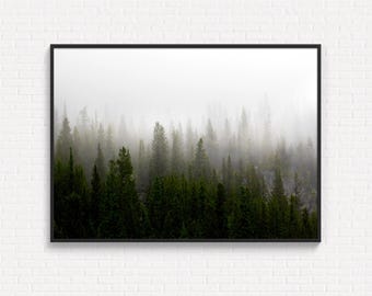 Foggy Forest Digital Print, Moody Landscape Download, Printable Photography, Rustic Mountain Wall Art