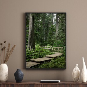 Riesiger Zedernwald Digitaldruck, Revelstoke Nationalpark, Waldlandschaft, Fotografie Download, druckbare Natur Wandkunst