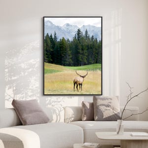 Bull Elk Digital Print, Elk Photography, Banff National Park, Elk Printable Wall Art