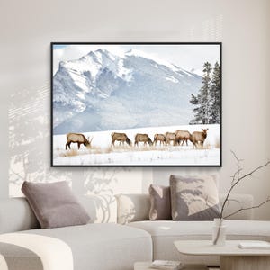 Mountain Elk Digital Print, Download Canmore Wildlife Photography, Printable Rustic Elk Wall Art