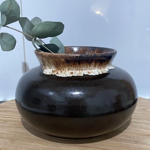 May include: A dark brown ceramic vase with a wide, rounded body and a textured, light brown rim. A sprig of green leaves extends from the vase's opening. The vase is displayed on a wooden surface.
