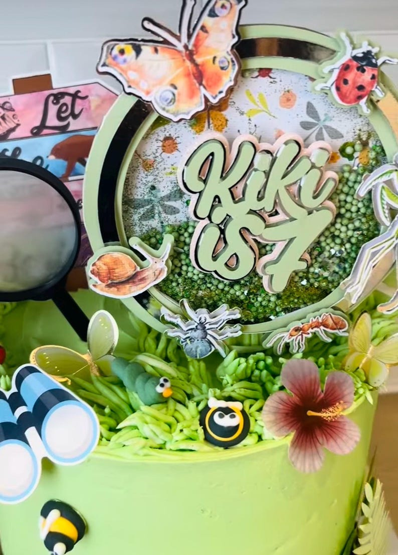 Bug Insect Theme 3D Shaker Cake Topper | Creepy Crawly Cake Topper ...