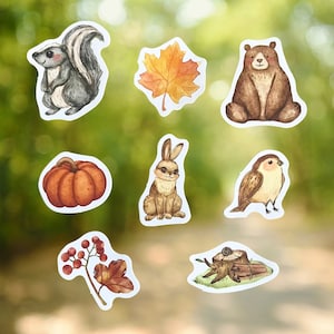 Conjunto de pegatinas de animales del bosque: 8 pegatinas otoño lindo conejito zorrillo oso pájaro calabaza hojas Kindle botella de agua portátil álbum de recortes diario de balas
