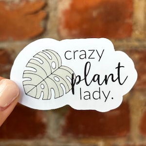 Adesivo adesivo pazza pianta signora facilmente distratta dalle piante testa di vaso verde accaparramento monstera bottiglia d'acqua laptop scrapbook bujo kindle