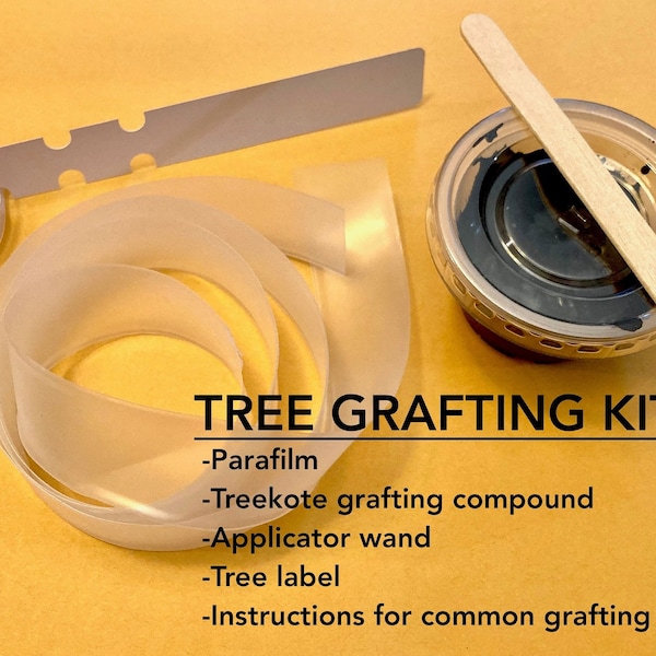 Tree grafting kit