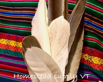 GOOSE FEATHERS, natural
