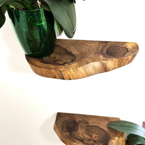 Live Edge Walnut Wall Shelves, Rustic Corner Floating Shelf Set for Small Plants and Decor, Natural Wood Wall Ledge for Modern Home