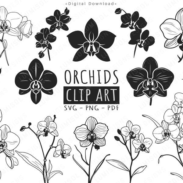 Bundle SVG orchidée | 36 orchidées dessinées à la main | Clipart floral | Un usage commercial