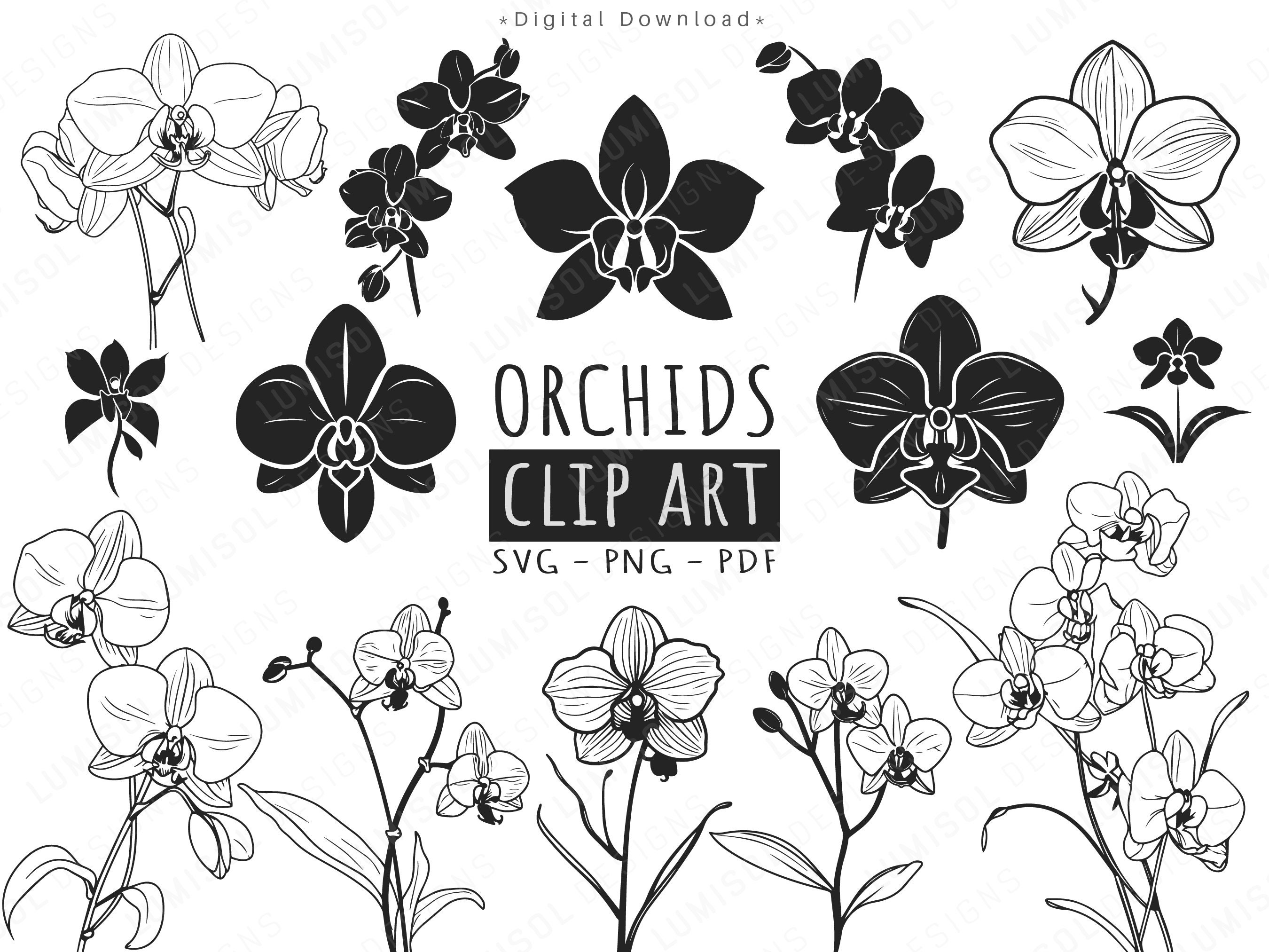 Orchid Flower Nail Art Stickers - wide 6