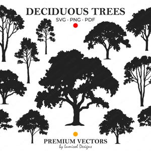 Ensemble SVG Silhouette d'arbre | 12 fichiers numériques | Motifs naturels | Thèmes de camping et de plein air | Clipart forêt | Vecteurs d'arbres à feuilles caduques