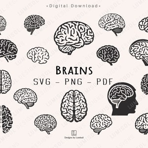 Brain SVG Bundle | Menschliches Gehirn Clip Art | Gehirn PNG Silhouette | Kommerzielle Lizenz