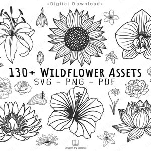 130+ Bundle SVG de fleurs sauvages | Clipart fleur dessiné à la main | Ensemble floral botanique PNG | Rose, marguerite, jonquille, lotus, lys et bien plus encore