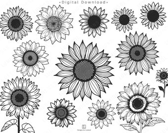 Sunflower SVG Bundle | Flowers Bundle | Floral Vector Designs