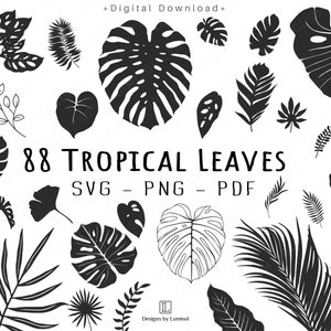 88 tropische bladeren SVG-bundel | Handgetekende Monstera Plant Leaves vectorbestanden | Palmblad png | Botanische silhouet ontwerpt clipart