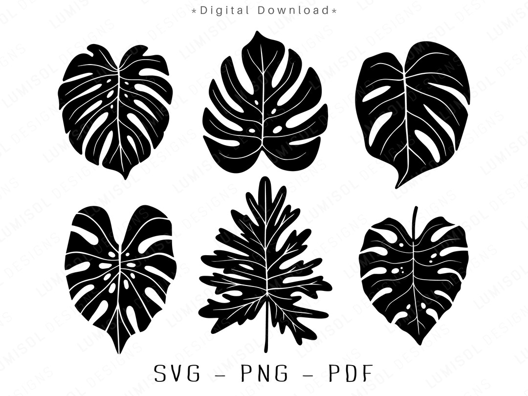 Monstera Leaves SVG | Jungle Tropical Leaves Bundle | Greenery Clipart ...