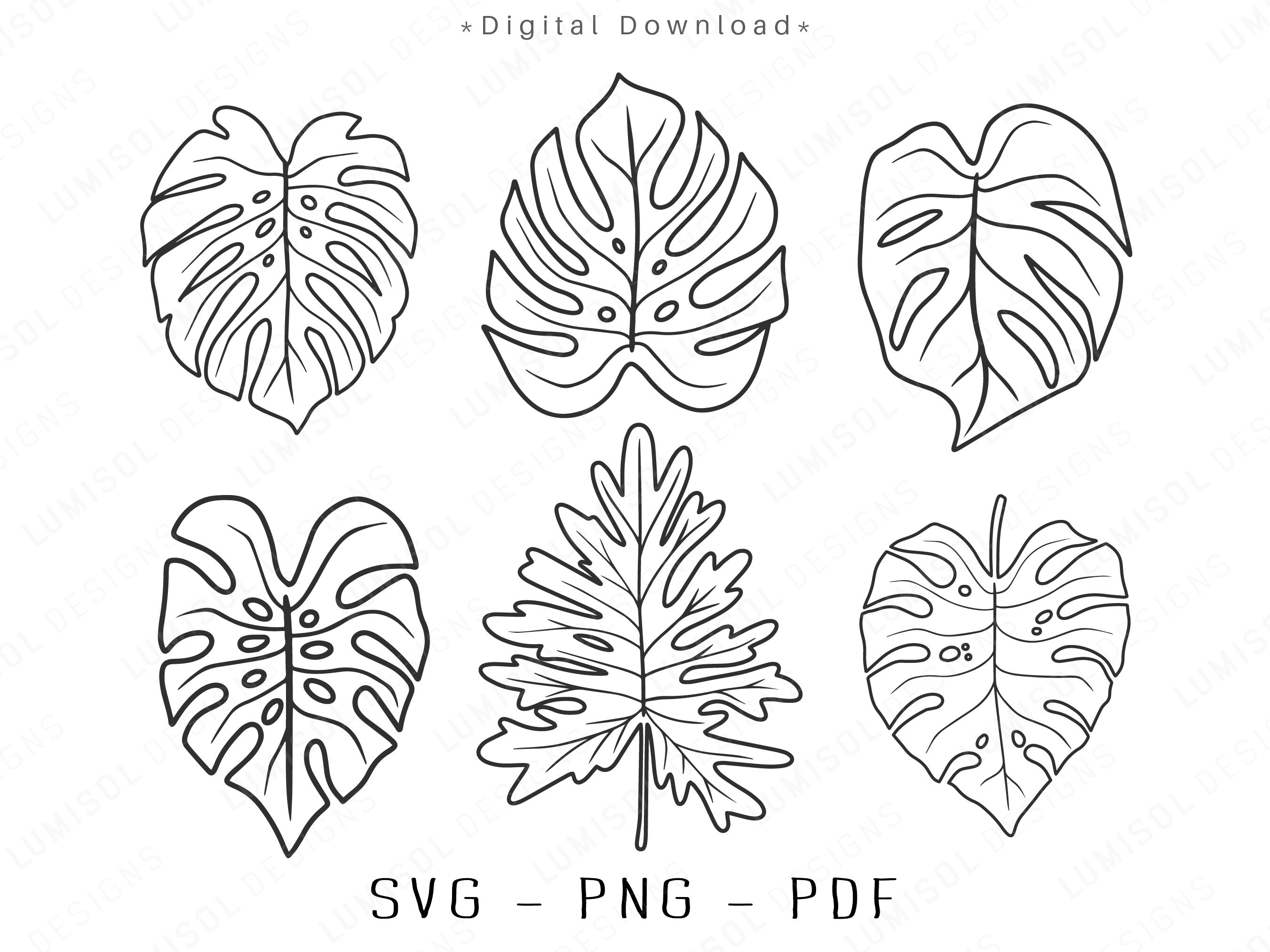Monstera Leaves SVG | Jungle Tropical Leaves Bundle | Greenery Clipart ...