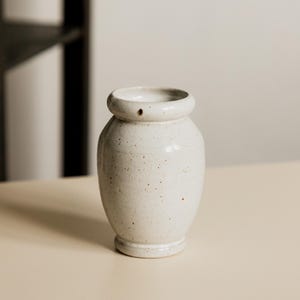 Może przedstawiać: Nakrapiany, kremowobiały ceramiczny wazon o zaokrąglonym korpusie i małym, okrągłym otworze. Wazon ma krótką, cylindryczną szyję i lekko rozszerzoną podstawę. Powierzchnia jest teksturowana małymi, ciemnobrązowymi plamkami.