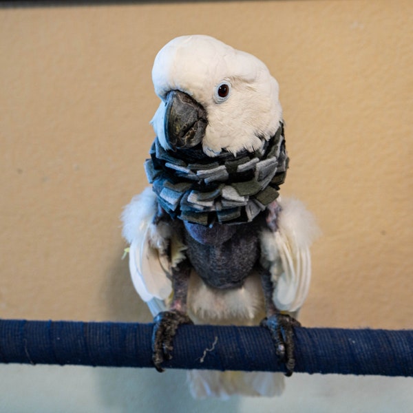 Stiff Neck Wrap/Collar for Parrots