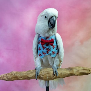 Lobster Print Vest and Bowtie for Medium and Large Birds