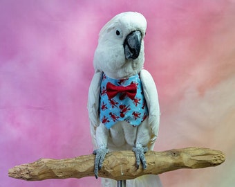 Lobster Print Vest and Bowtie for Medium and Large Birds