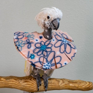 Cone Collar for Parrots