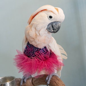 Pink and Purple Dress for Medium and Large Birds