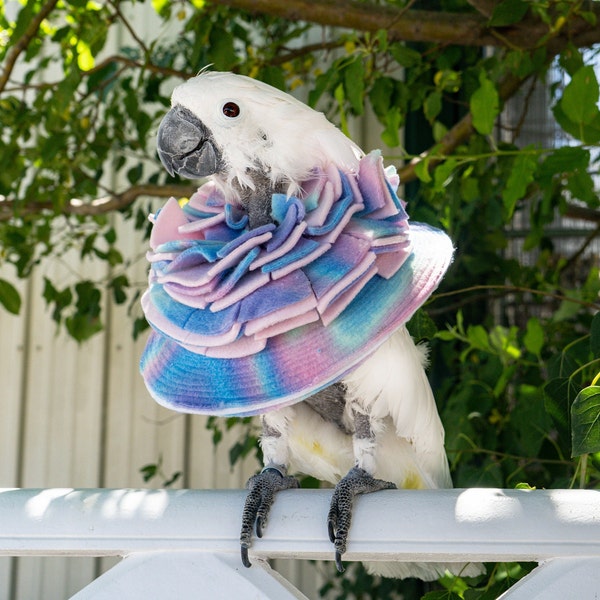 Stiff Cone Collar for Parrots