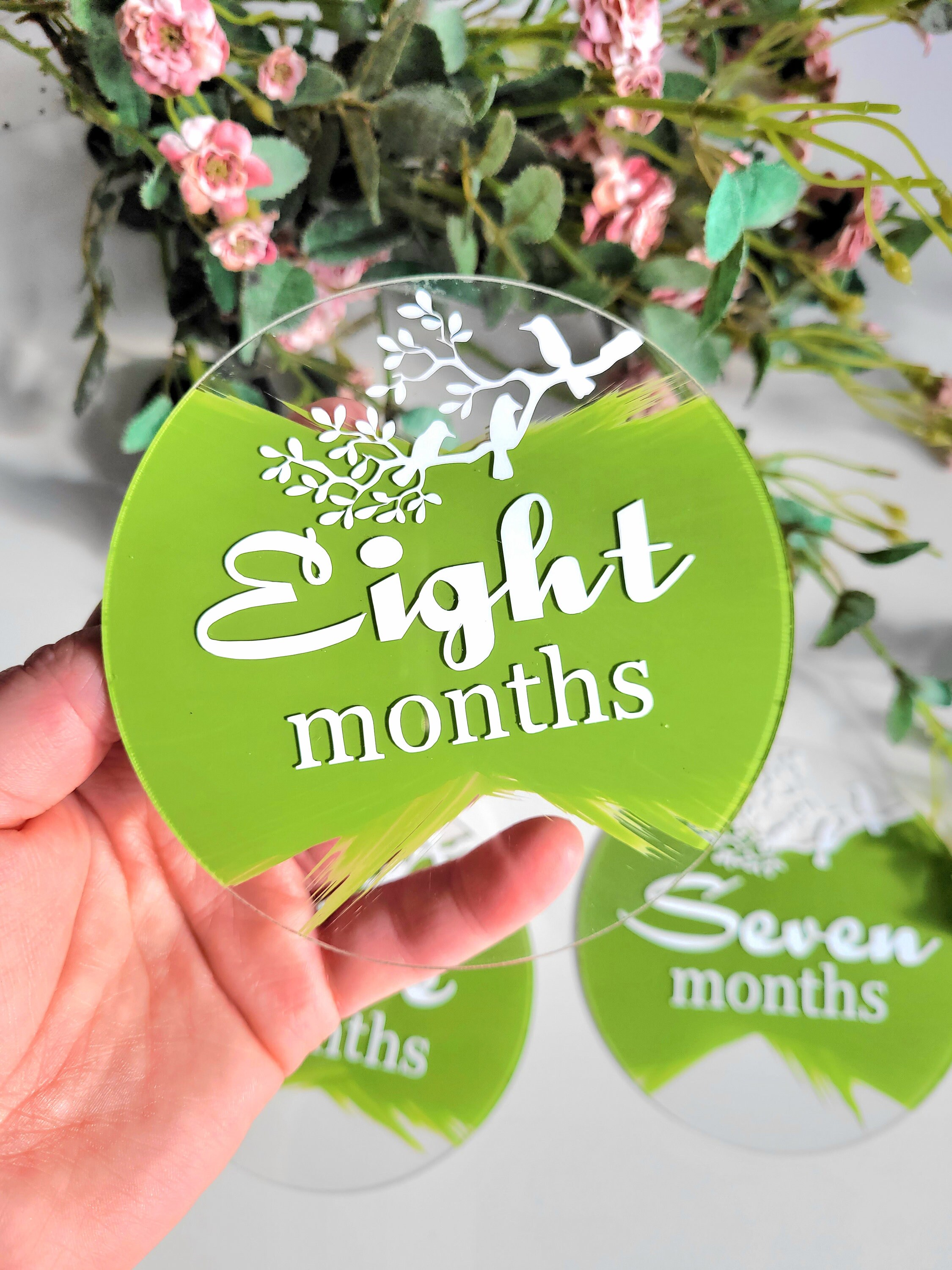 Acrylic Baby Milestone Cards Customizable Baby Milestone Etsy