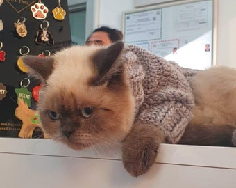Hand-Knit Pet Sweater: Custom Winter Cat & Dog Outfit