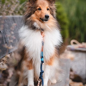 Tauleine, dog leash, lead leash, puppy leash, dog collar, dark blue, light blue, adjustable image 8
