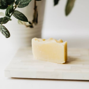 Natural Shampoo Bar: Sudsy Zero Waste Hair Care