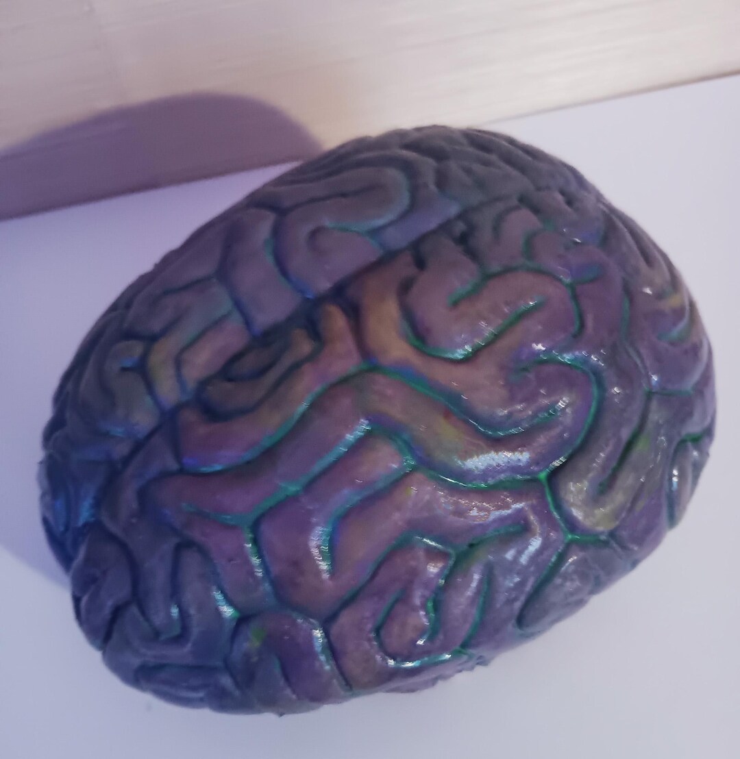 BIG Bluegreen BRAIN Latex Haunted House Prop Halloween - Painted - Etsy ...