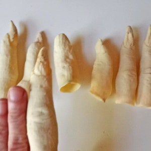 May include: A set of eight realistic-looking, pale yellow, finger-shaped props. The props are made of a soft, pliable material and are arranged in a row on a white surface.