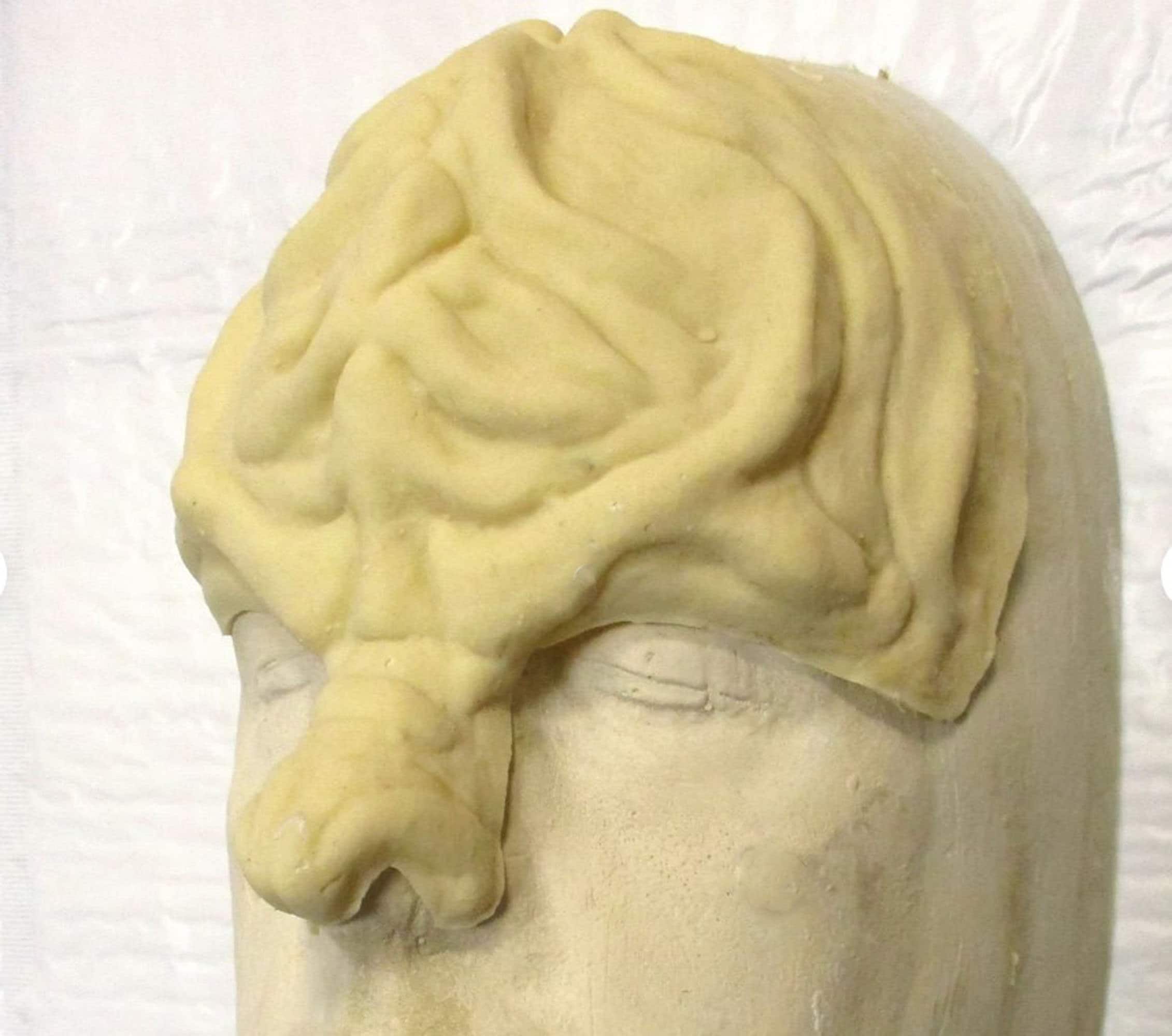Klingon Latex Forehead Halloween Star Trek Cosplay
