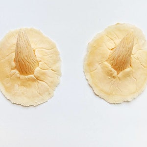 Puede incluir: Dos adornos para sombreros de bruja de fieltro beige con puntas puntiagudas. Los adornos están hechos de fieltro y tienen una superficie texturizada.