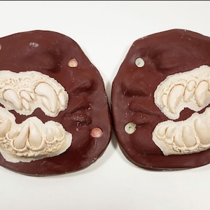 May include: Two brown plaster molds with raised white impressions of teeth. The molds are used for creating custom teeth for costumes or props.