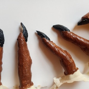 May include: Five brown and black claws with black tips. The claws are made of a soft, pliable material and are designed to look like animal claws.