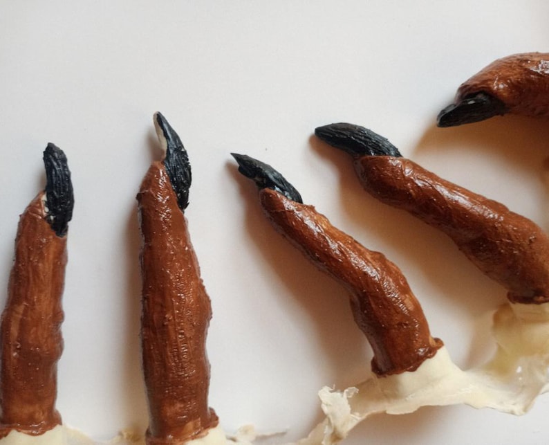 May include: Five brown and black claws with black tips. The claws are made of a soft, pliable material and are designed to look like animal claws.