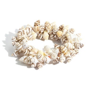 May include: A white and brown seashell bracelet with a variety of different sized shells.