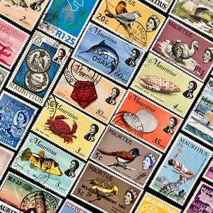 Puede incluir: Una colección de sellos postales antiguos de Mauricio, con una variedad de diseños e imágenes coloridos, que incluyen pájaros, peces y otros animales salvajes. Los sellos están en excelente estado y serían una gran adición a cualquier colección de sellos.